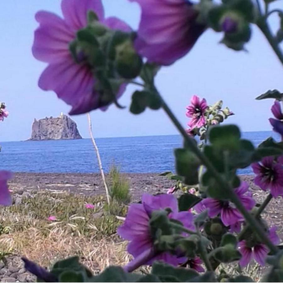Agriturismo Solemare Stromboli Extérieur photo