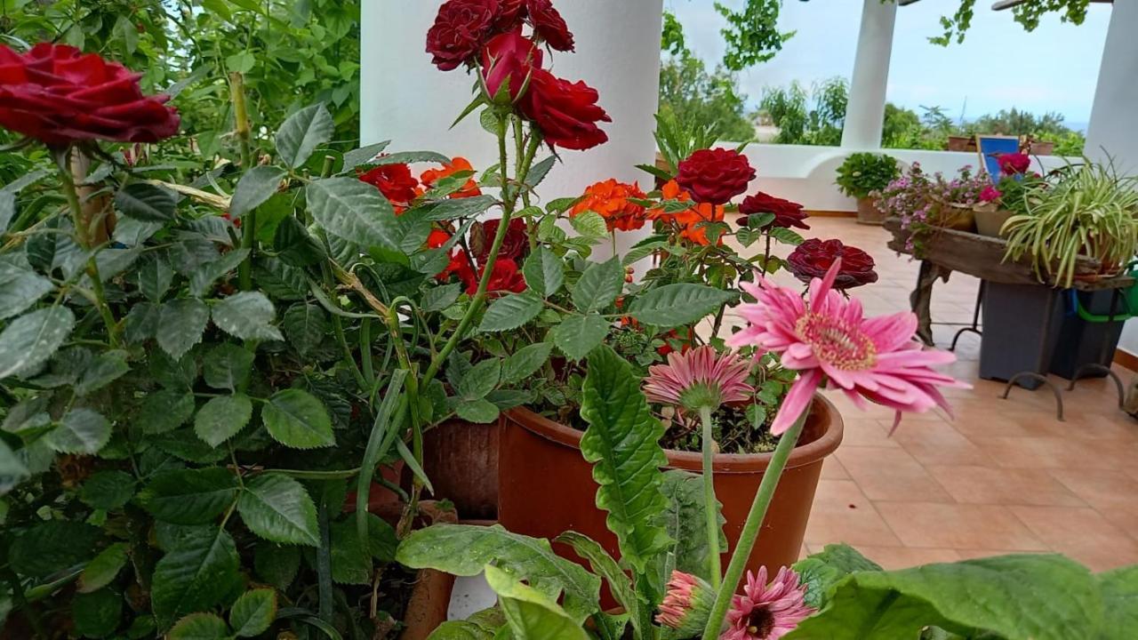 Agriturismo Solemare Stromboli Extérieur photo
